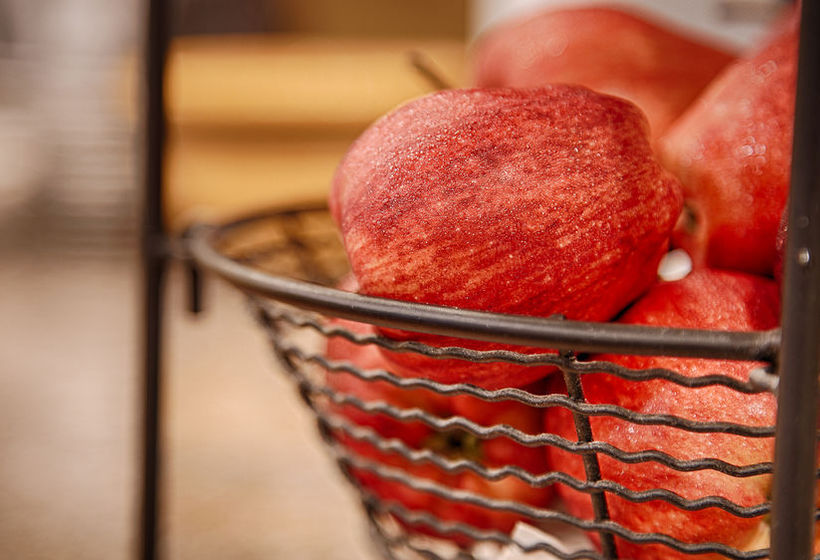 Hotel Quality Inn & Suites Garland - East Dallas  | Garland | Texas | United States 5