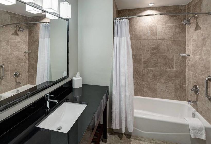 Hotel Courtyard Dallas Plano/richardson  | Plano | Texas | United States 19