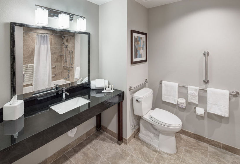 Hotel Courtyard Dallas Plano/richardson  | Plano | Texas | United States 2