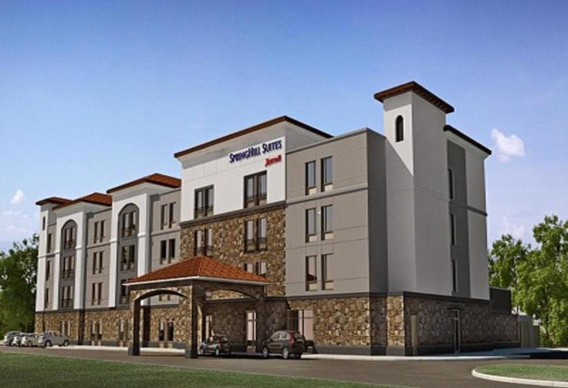 Hotel Springhill Suites By Marriott Dallas Rockwall 