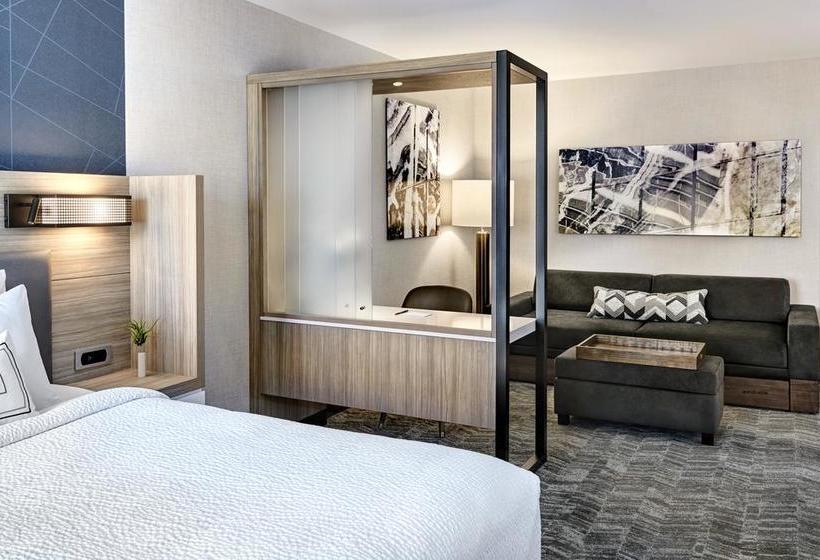 Hotel Springhill Suites By Marriott Dallas Rockwall  | Rockwall | Texas | Estados Unidos 12