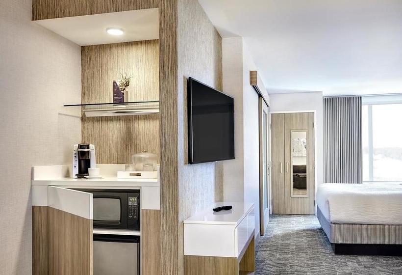 Hotel Springhill Suites By Marriott Dallas Rockwall  | Rockwall | Texas | Estados Unidos 2
