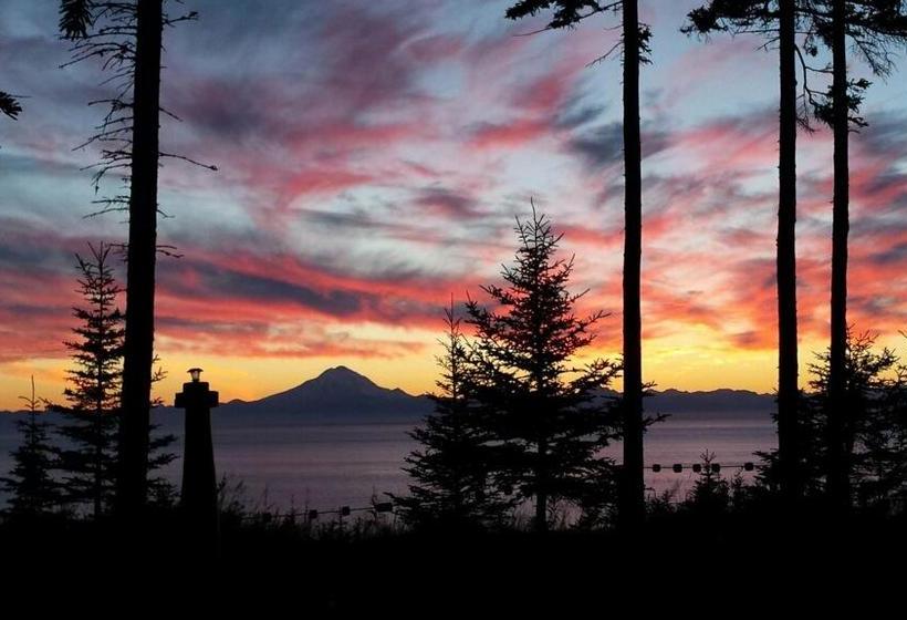 Ocean Bluff B&b Kasilof