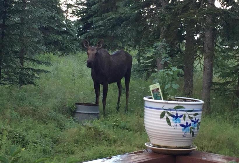 Ocean Bluff B&b  | Kasilof | Alaska | United States 1