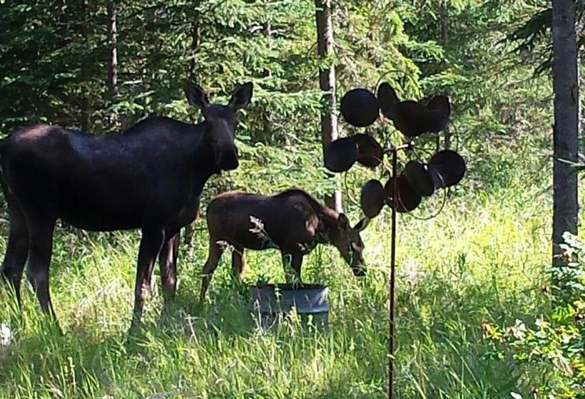 Ocean Bluff B&b  | Kasilof | Alaska | United States 11