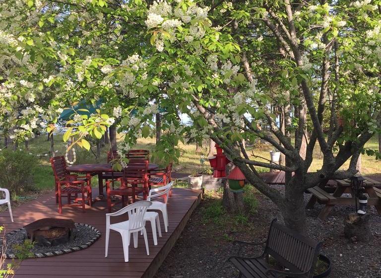 Ocean Bluff B&b  | Kasilof | Alaska | United States 17