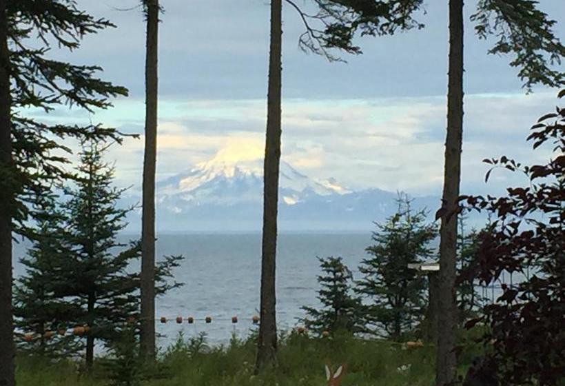 Ocean Bluff B&b  | Kasilof | Alaska | United States 9