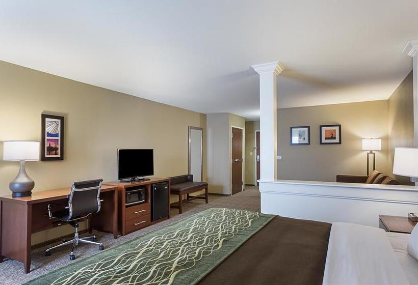 Hotel Comfort Inn & Suites Zachary 