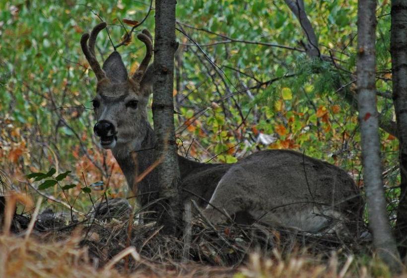 Cashmere Mountain Bed & Breakfast  | Leavenworth | Washington | United States 20