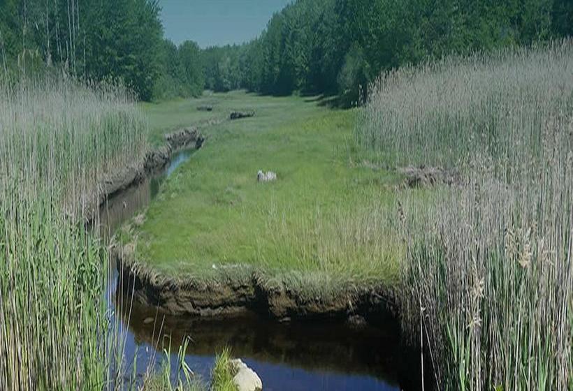 Lake Brook Bed & Breakfast Kennebunkport Maine