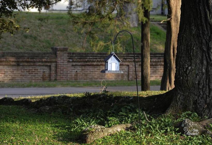Clermont Bluffs Bed & Breakfast  | Natchez | Mississippi | Vereinigte Staaten 13