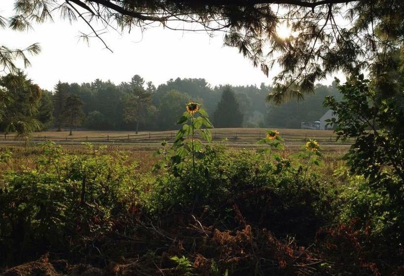 Timber Post Bed & Breakfast  | Nashua | New Hampshire | United States 10
