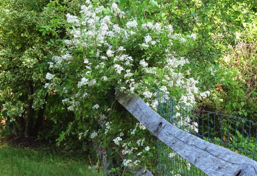 Timber Post Bed & Breakfast  | Nashua | New Hampshire | United States 13