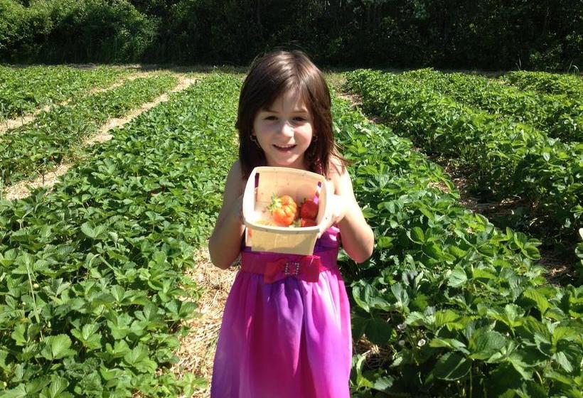 Timber Post Bed & Breakfast  | Nashua | New Hampshire | United States 9