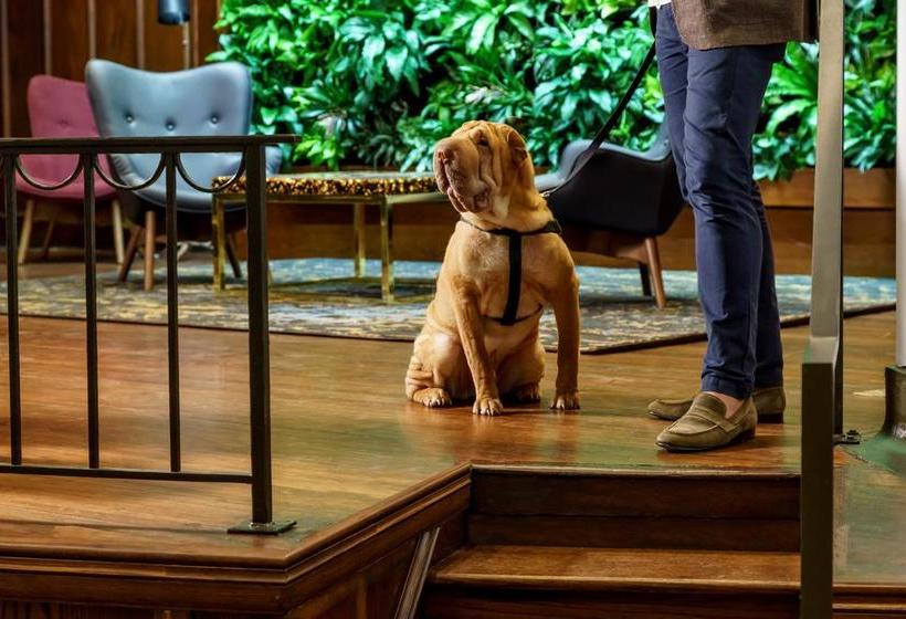 Distrikt Hotel Pittsburgh  | Pittsburgh | Pennsylvania | Hôtels aux États-Unis 19