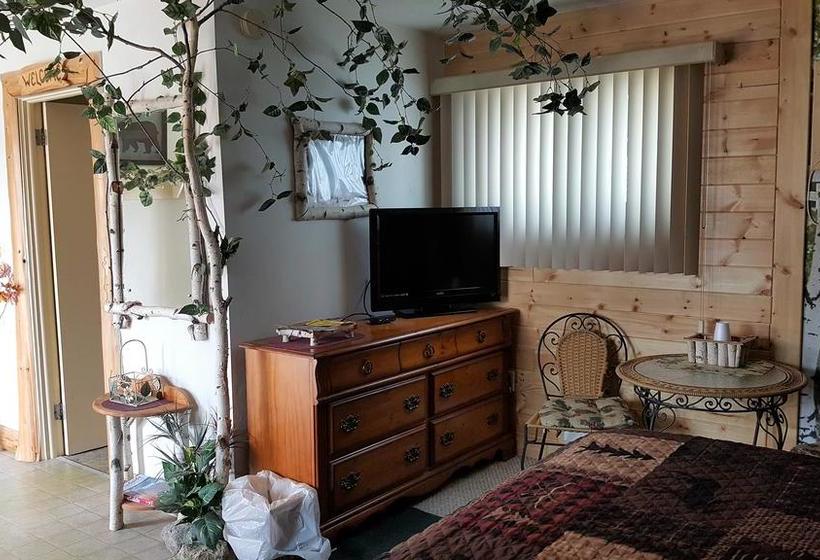 Motel Bear Cove Inn  | St. Ignace | Michigan | United States 1