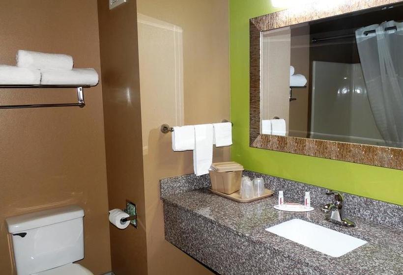 Hotel Oak Tree Inn & Suites  | Claxton | Georgia | Estados Unidos 8