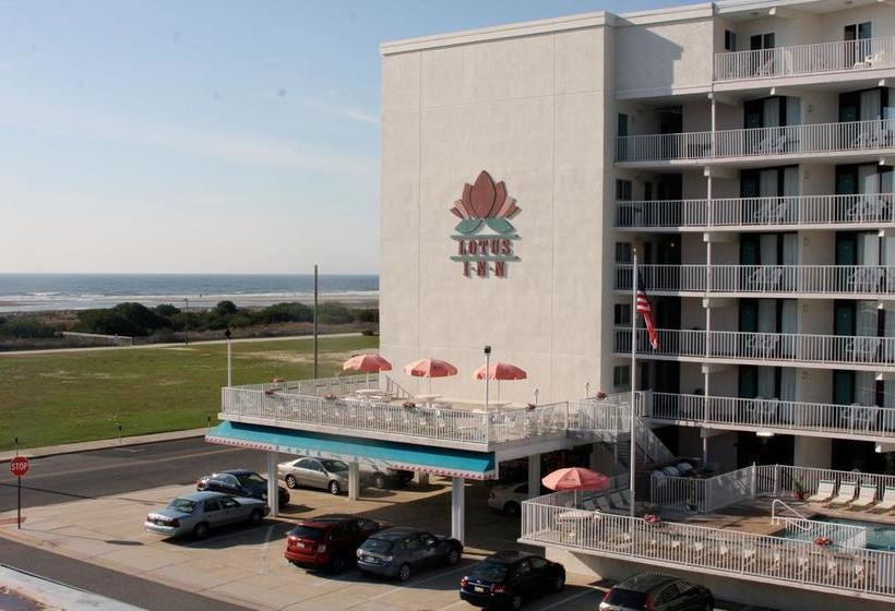 Hotel Lotus Inn  | Wildwood Crest | New Jersey | United States 4
