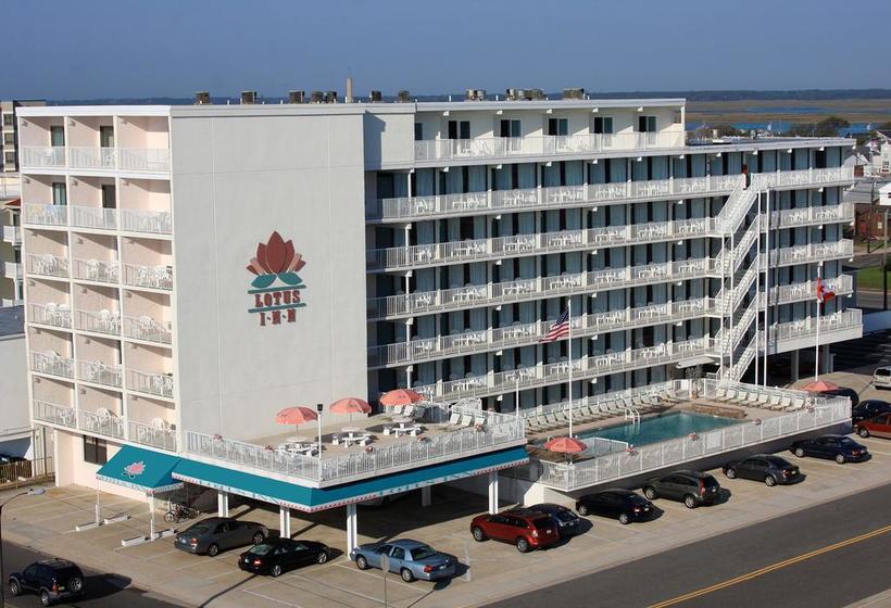 Hotel Lotus Inn  | Wildwood Crest | New Jersey | United States 5