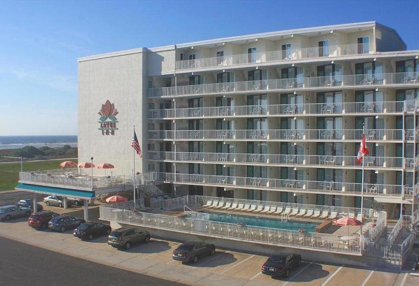 Hotel Lotus Inn  | Wildwood Crest | New Jersey | United States 6