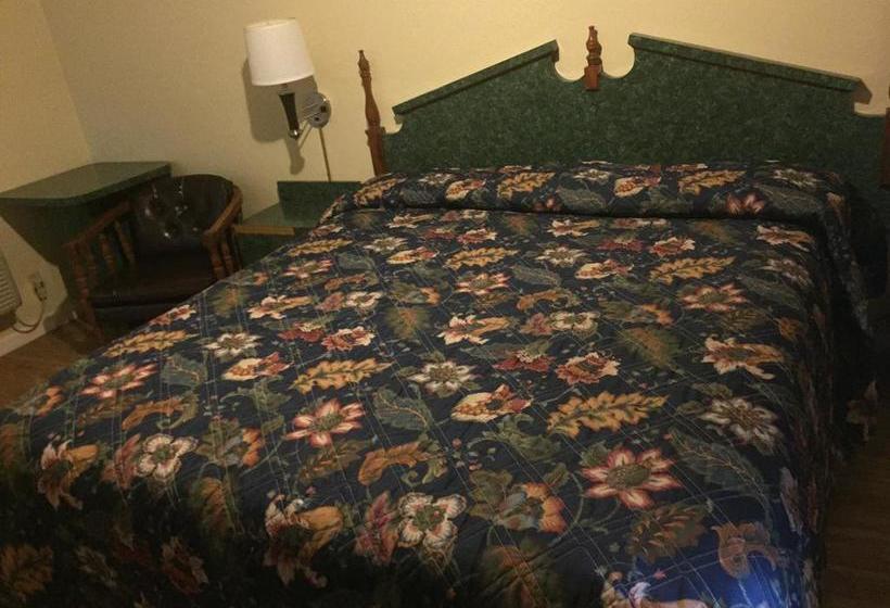 Apex 1 Motel  | Lansing | Michigan | United States 2