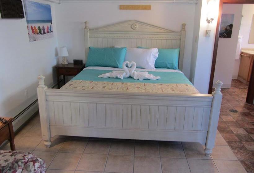 Green Dolphin Motel Old Orchard Beach Maine