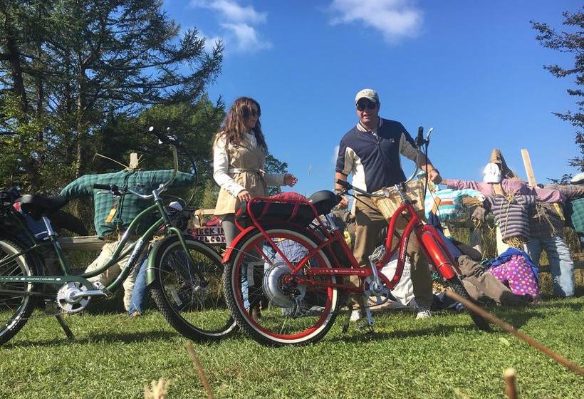 Bed and Breakfast Ivy Lodge  | Newport | Rhode Island | United States 11