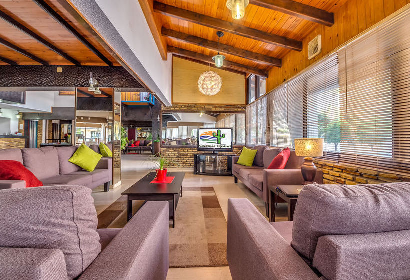 Hotel Cactus  | Larnaca | Larnaca | Cyprus 3