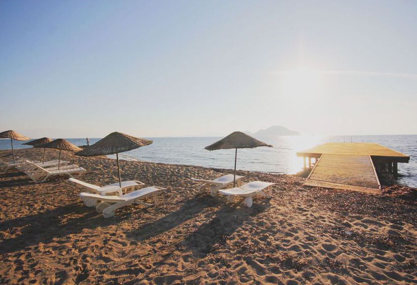 Hotel Sun & Sea Beach  | Turgutreis | Mugla | Turkey 4