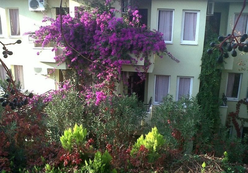 Hotel Leda  | Oludeniz | Mugla | Turkey 8