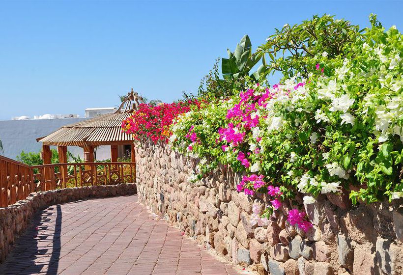 Sunrise Diamond Beach Resort  | Sharm el Sheikh | Egypt | Middle East - North Africa 11