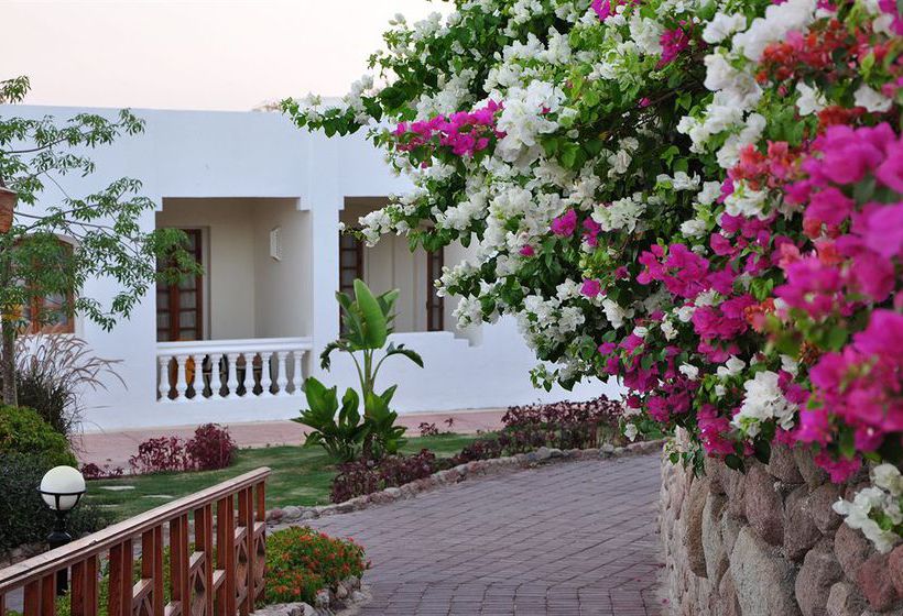 Sunrise Diamond Beach Resort  | Sharm el Sheikh | Egypt | Middle East - North Africa 12