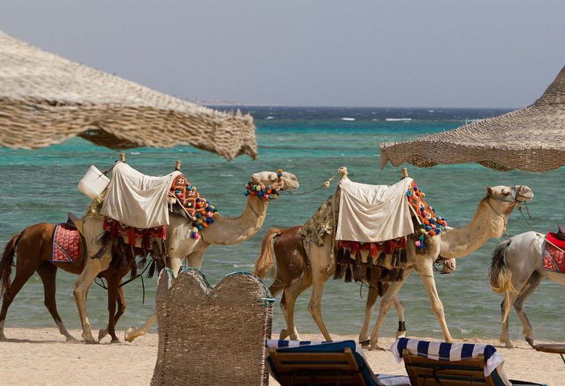 Hotel Sentido Oriental Dream  | Marsa Alam | Egypt | Middle East - North Africa 5