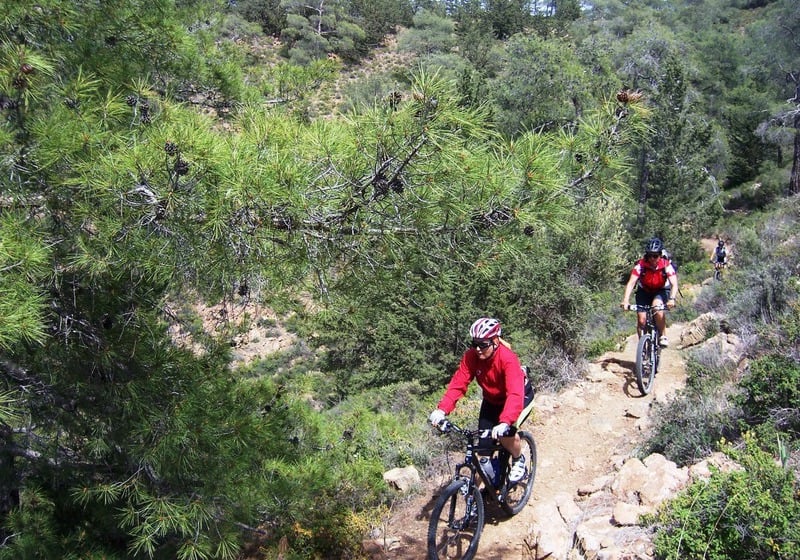 Hotel Cyprus Villages  | Tochni | Larnaca | Cyprus 9