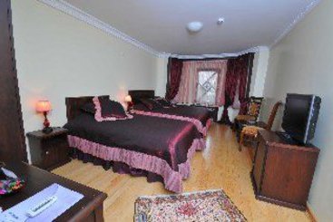 Yv Boutique Hotel  | Ankara | Ankara | Turkey 4