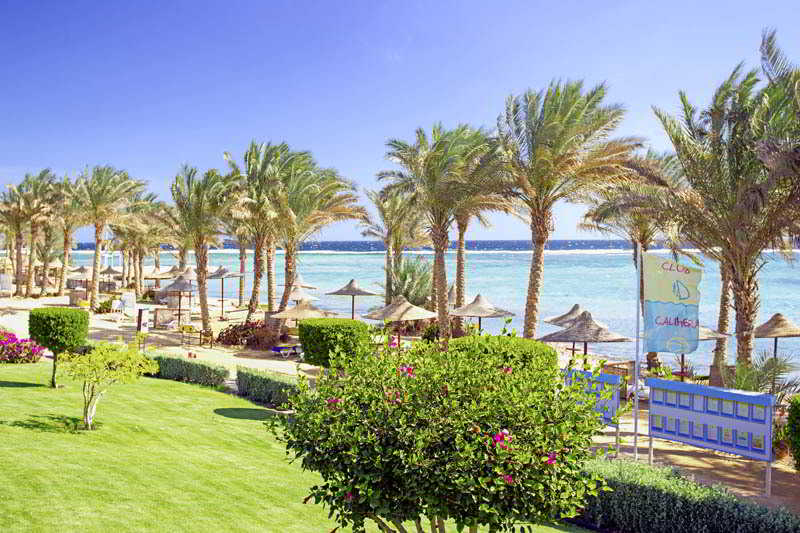 Calimera Habiba Beach Resort  | Marsa Alam | Egypt | Middle East - North Africa 9