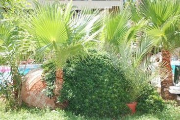 Hotel Golmar Beach  | Icmeler | Mugla | Turkey 3