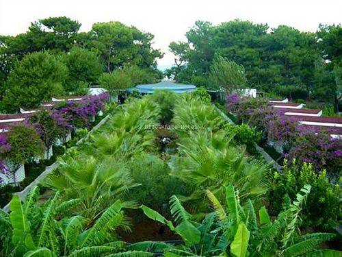 Hotel Blue White  | Cirali | Antalya | Turkey 1