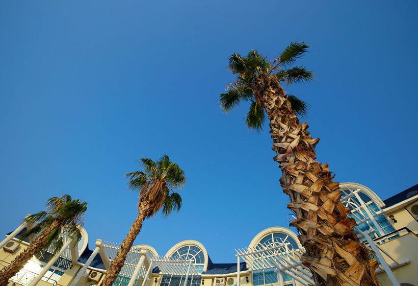 Hotel Turqualty Club  | Didim | Aydin | Turkey 10