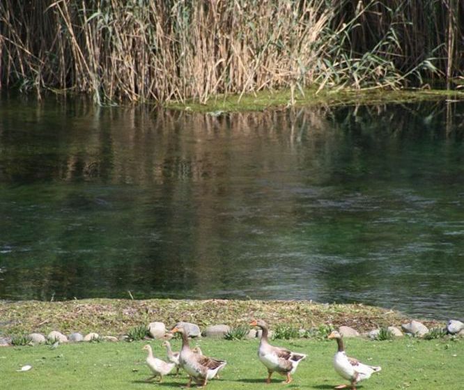 Hotel Kerme Ottoman Konak  | Akyaka | Mugla | Turkey 10