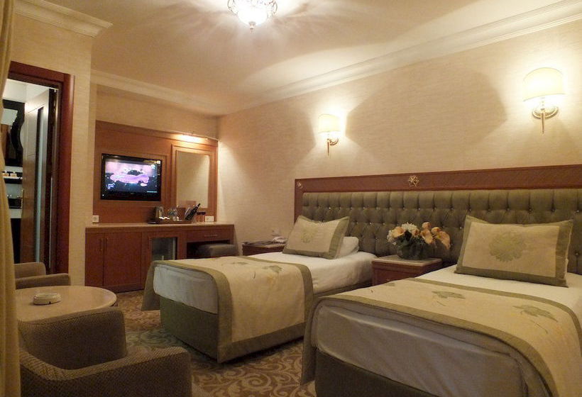 Grand Asiyan Hotel  | Istanbul | Istanbul | Turkey 3