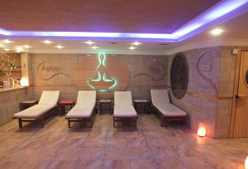 Grand Asiyan Hotel  | Istanbul | Istanbul | Turkey 9