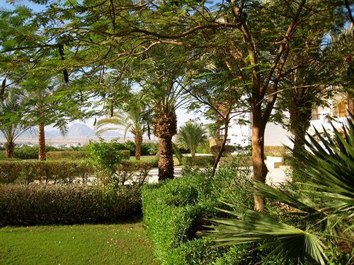 Hotel Eden Rock   | Sharm el Sheikh | Egypt | Middle East - North Africa 5