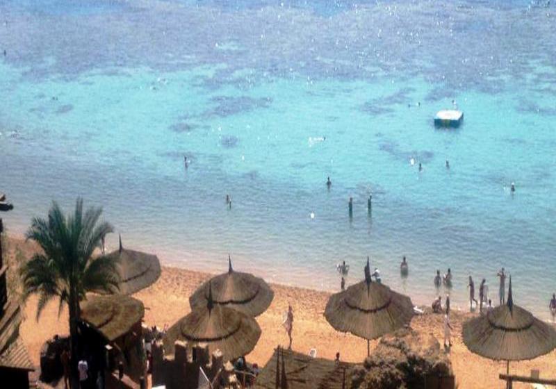 Hotel Viva Sharm  | Sharm el Sheikh | Egypt | Middle East - North Africa 12