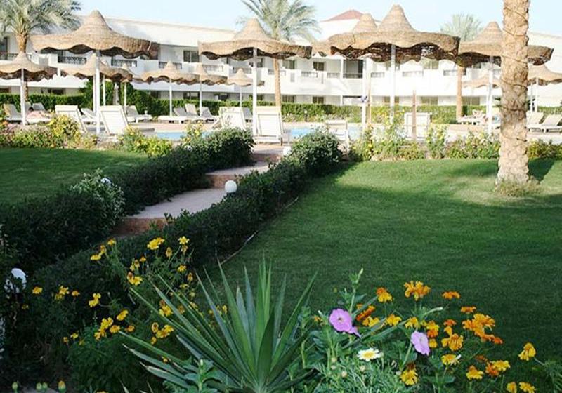 Hotel Viva Sharm  | Sharm el Sheikh | Egypt | Middle East - North Africa 16