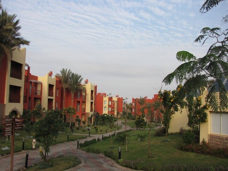 Hotel Aurora Bay Resort  | Marsa Alam | Egypt | Middle East - North Africa 7