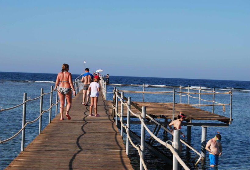 Elphistone Resort Marsa Alam  | Marsa Alam | Egypt | Middle East - North Africa 13