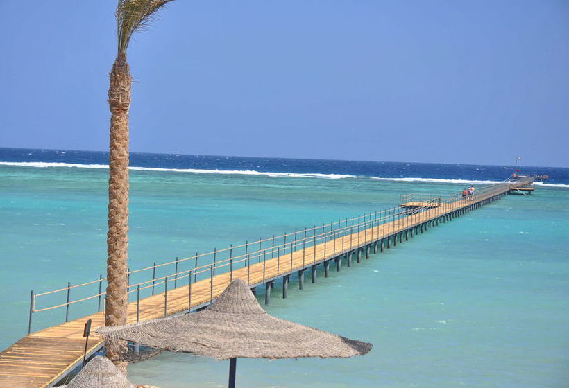 Elphistone Resort Marsa Alam  | Marsa Alam | Egypt | Middle East - North Africa 3