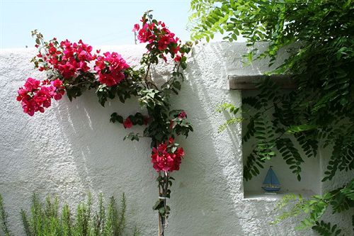 Hotel Alacati Tur58  | Alacati | Izmir | Turkey 14