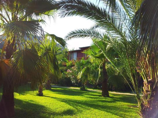 Kütle Hotel  | Cirali | Antalya | Turquie 4